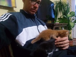 Sitting with two kitten