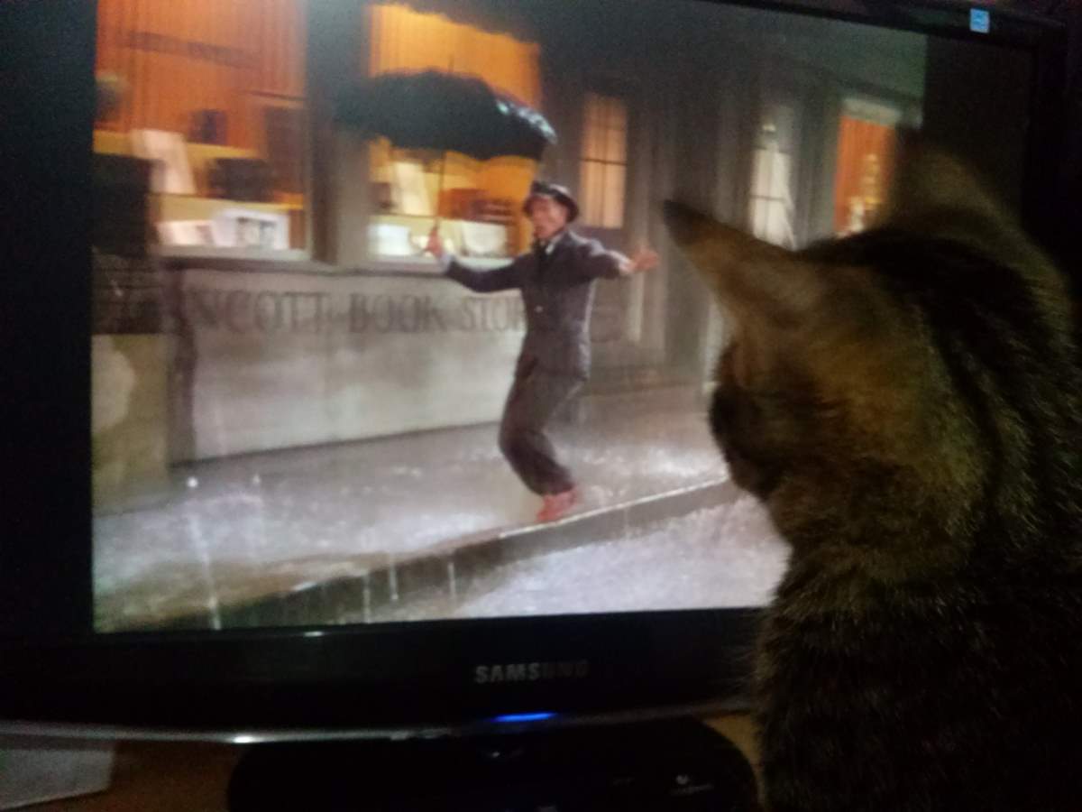2015-06-22 Singin' in the Rain