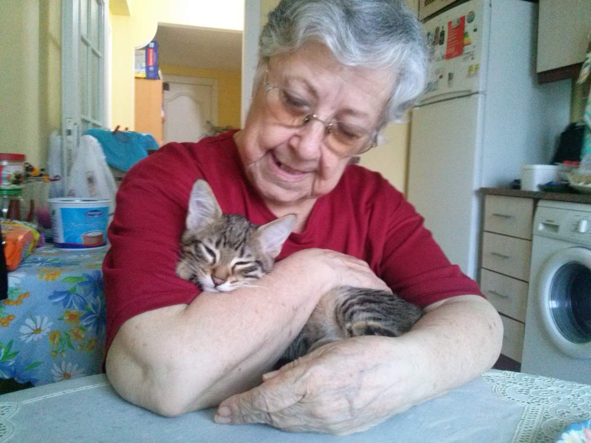 2015-06-23-01, number five kitten and mum