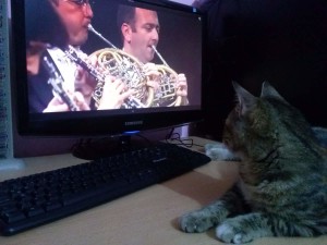 Lotto the cat is listening to the classical music