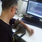 2015-06-30-14 A new kitten at the office