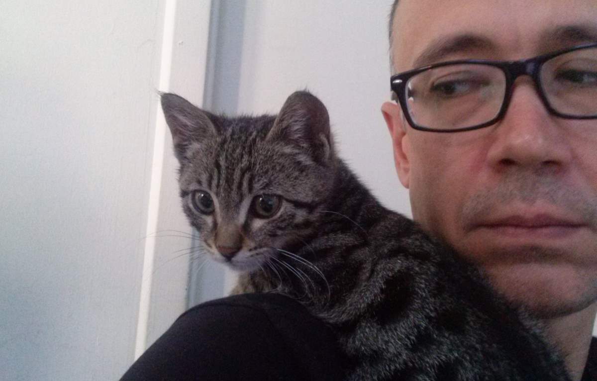 2015-06-30 A new kitten at the office