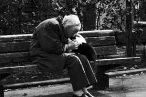 Cat and old woman