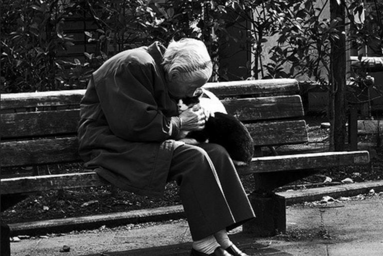 Cat and old woman