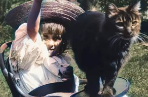 The first cat video ever (1900)