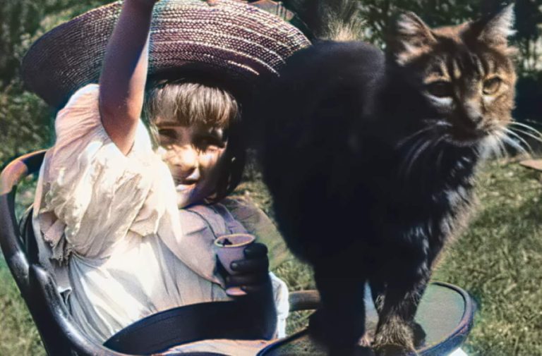 The first cat video ever (1900)