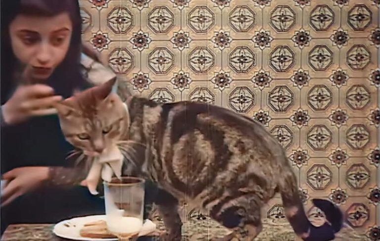 A cat in a 1905 french silent film