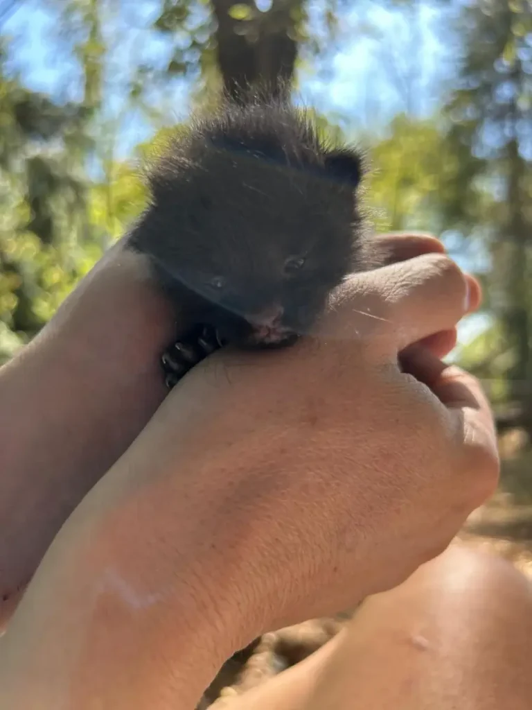 On August 31st, Olive's eyes opened for the first time